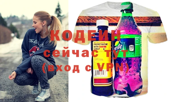 сатива Новодвинск