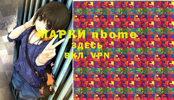 сатива Новодвинск
