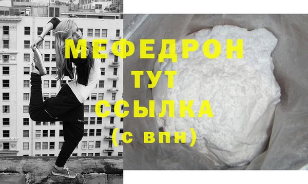 сатива Новодвинск
