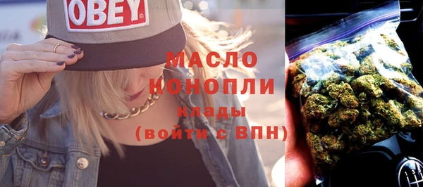 сатива Новодвинск