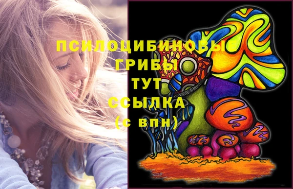 сатива Новодвинск